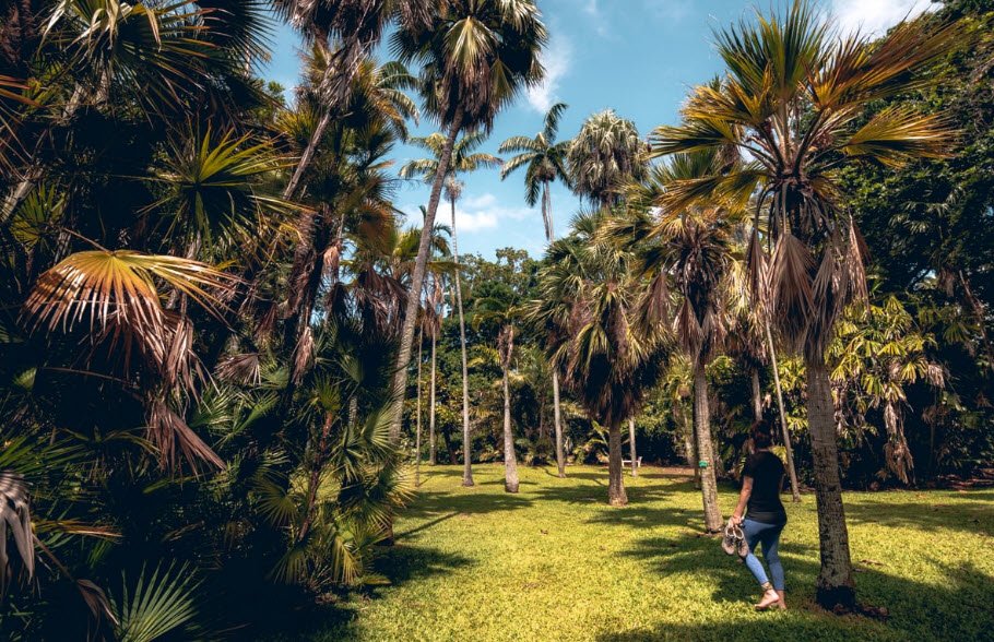 Foster Botanical Garden, United States